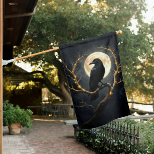 In the Darkness of the Night” – The Moon’s Silent House Flag