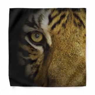 In the Eye of a Tiger Bandana
