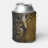 In the Eye of a Tiger