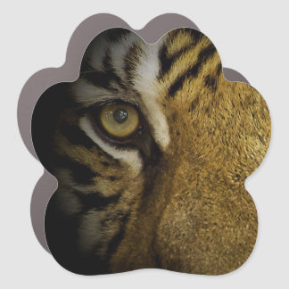 In the Eye of a Tiger Car Magnet