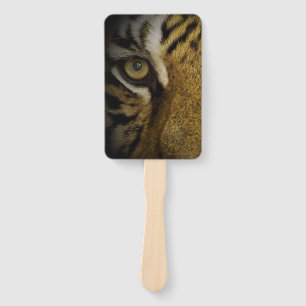 In the Eye of a Tiger Hand Fan