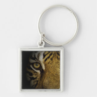 In the Eye of a Tiger Keychain