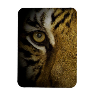 In the Eye of a Tiger Magnet