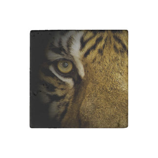 In the Eye of a Tiger Stone Magnet