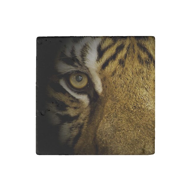 In the Eye of a Tiger Stone Magnet (Front)