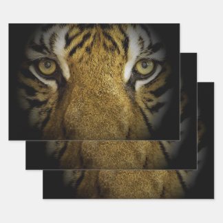 In the Eye of a Tiger Wrapping Paper Sheets