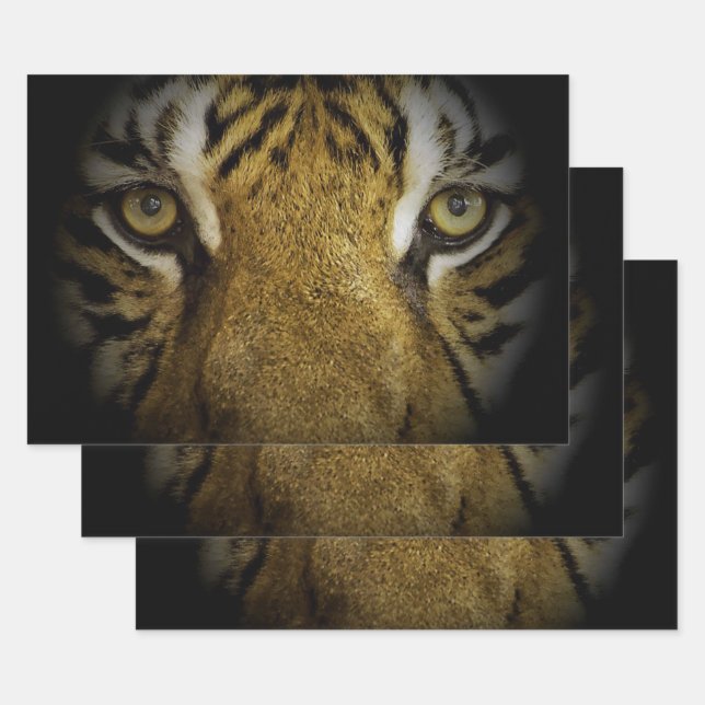 In the Eye of a Tiger Wrapping Paper Sheets (Set)