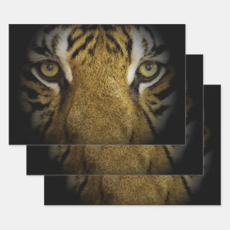 In the Eyes of a Tiger Wrapping Paper Sheets