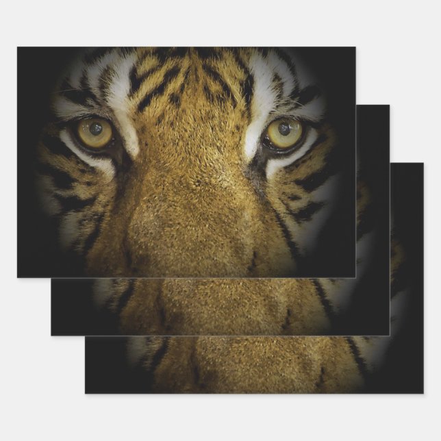 In the Eyes of a Tiger Wrapping Paper Sheets (Set)