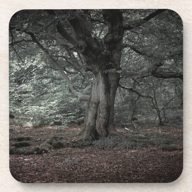 In the fairytale forest    beverage coaster (Front)