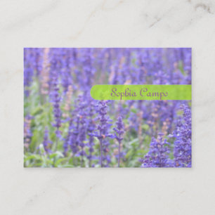 In the field, colorful businesscards template business card