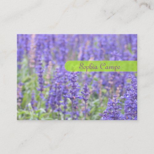 In the field, colorful businesscards template business cards