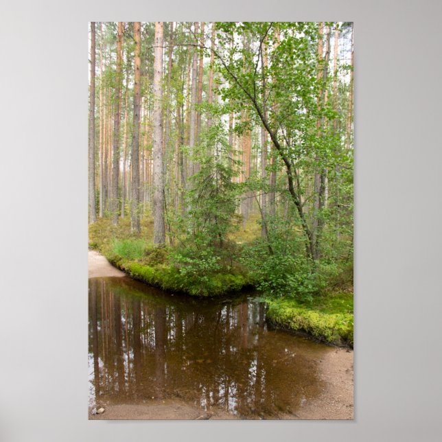 In the forest after the rain poster (Front)
