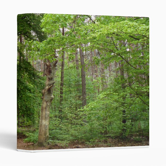 In the Forrest 3 Ring Binder (Front/Spine)