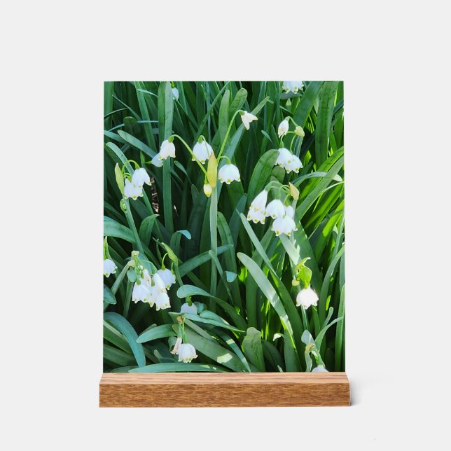 In the Garden... Acrylic Sign (Front)