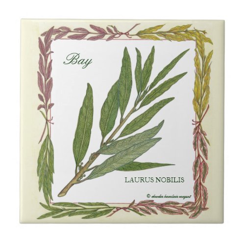 In the Garden  Bay Leaf Tile