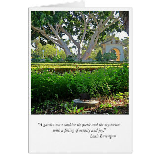 In the Garden Cards