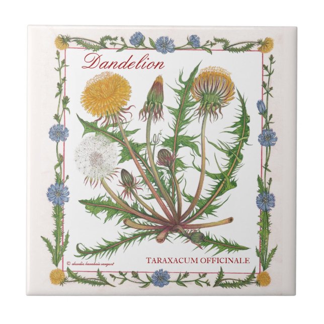 In the Garden ~ Dandelion Tile (Front)