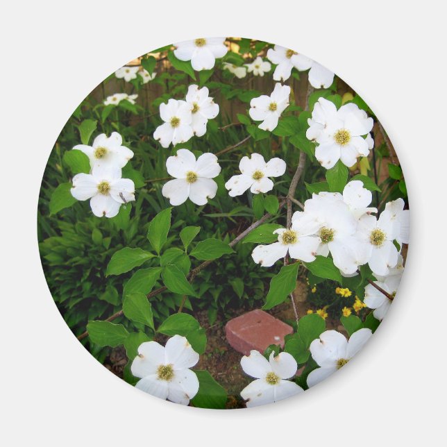 In The Garden ~ Dogwood Blossoms Magnet (Front)