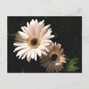 In The Garden Postcard by glo53bug at Zazzle