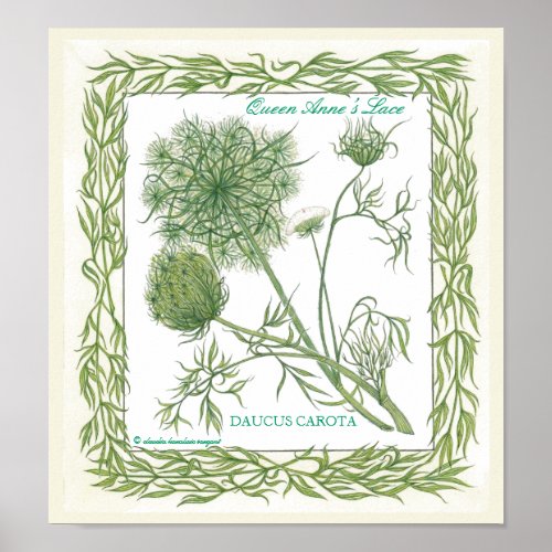 In the Garden  Queen Annes Lace Poster