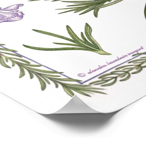 In the Garden Rosemary Poster Zazzle