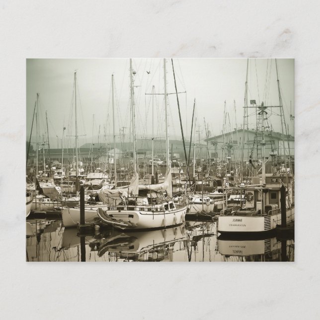 In The Harbor Postcard (Front)