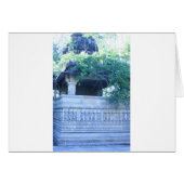 In the jungle (Front Horizontal)