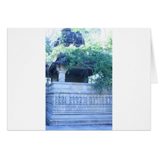 In the jungle cards (Front Horizontal)