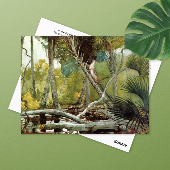 In the Jungle Florida Winslow Homer Postcard (Creator Uploaded)