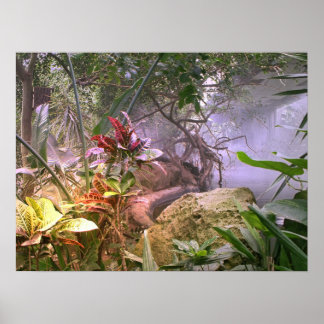 In the Jungle Poster
