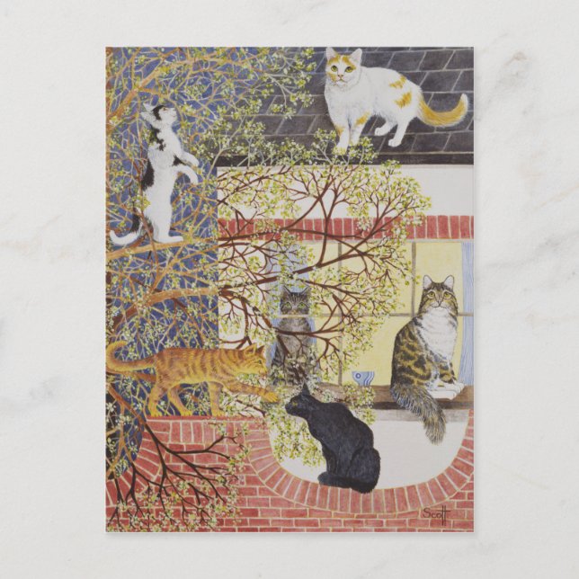 In the Limelight Postcard (Front)