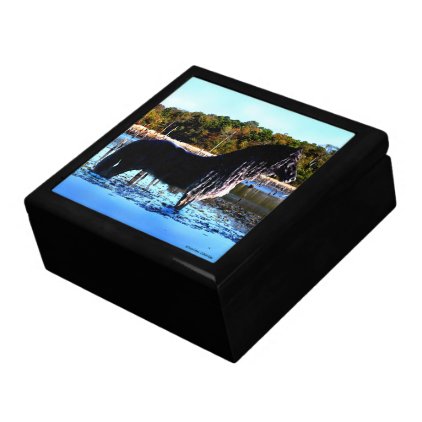 &quot;In The Marsh&quot; Gift Box