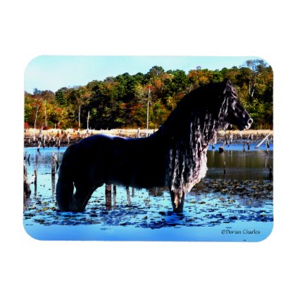 &quot;In The Marsh&quot; Horse Photo Magnet