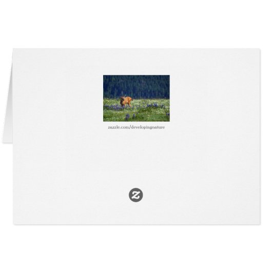 In the Meadow (Back Horizontal)