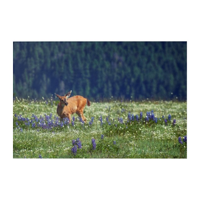 In the Meadow Acrylic Print (Front)