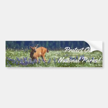 In The Meadow Bumper Sticker by DevelopingNature at Zazzle