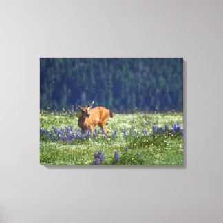 In the Meadow Canvas Print