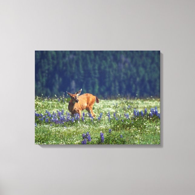 In the Meadow Canvas Print (Front)