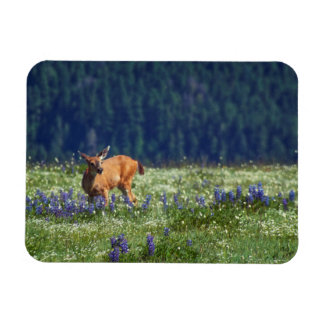 In the Meadow Magnet
