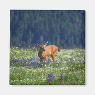 In the Meadow Magnet