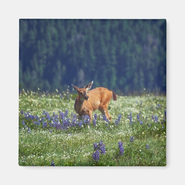 In the Meadow Magnet (Front)