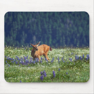 In the Meadow Mouse Pad