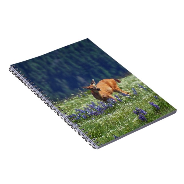 In the Meadow Notebook (Right Side)