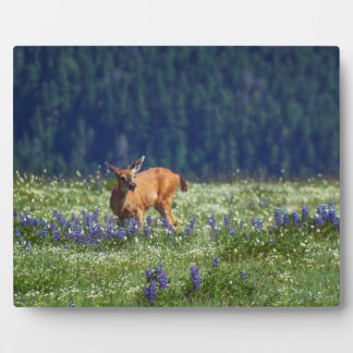 In the Meadow Plaque