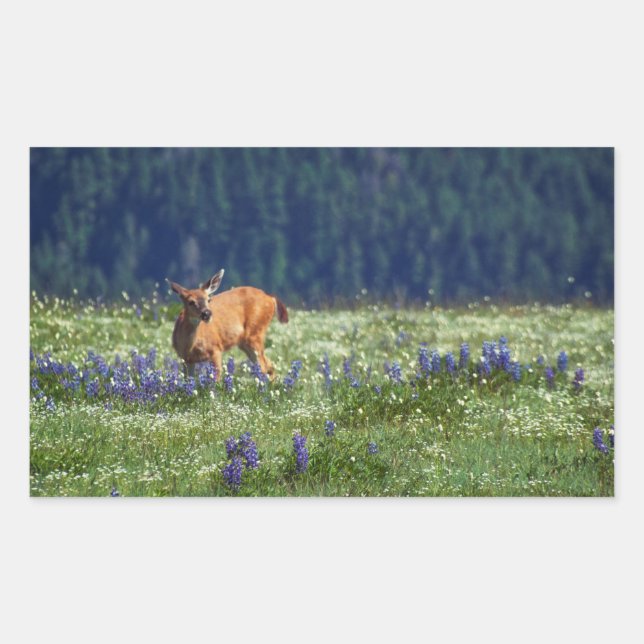 In the Meadow Rectangular Sticker (Front)