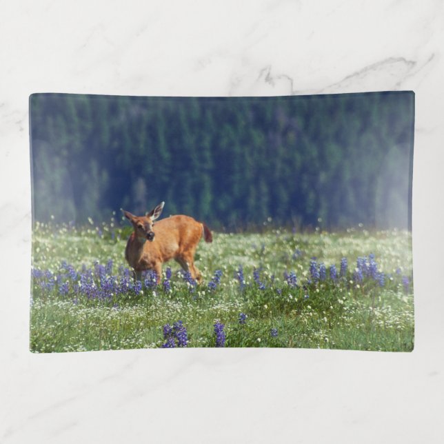 In the Meadow Trinket Tray (Front)