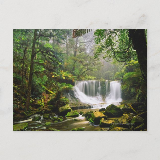 in the Mount Field National Park Postcard (Front)