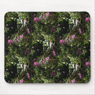In the mountains where the Sweet Peas grow.... Mouse Pad