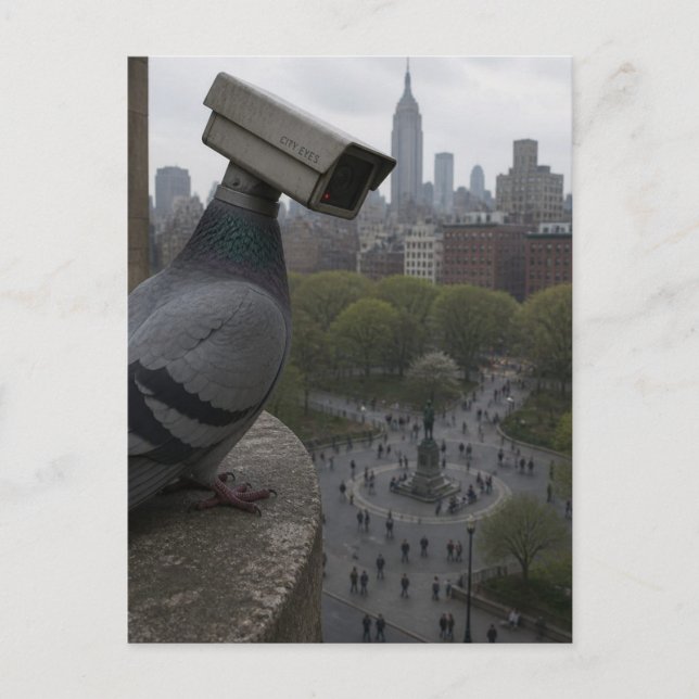  in the park A surreal surveillance camera pigeon Postcard (Front)